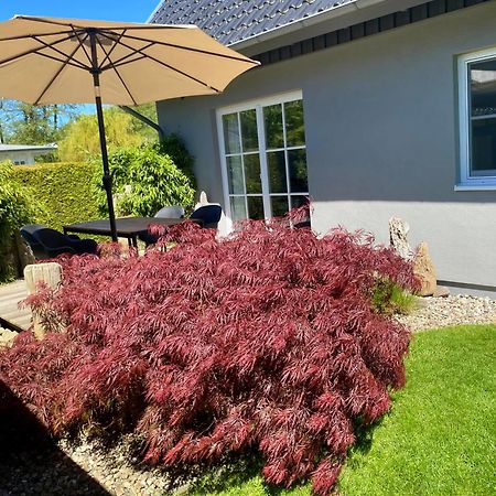 Ferienhaus Buhne 31 Prerow Exteriör bild